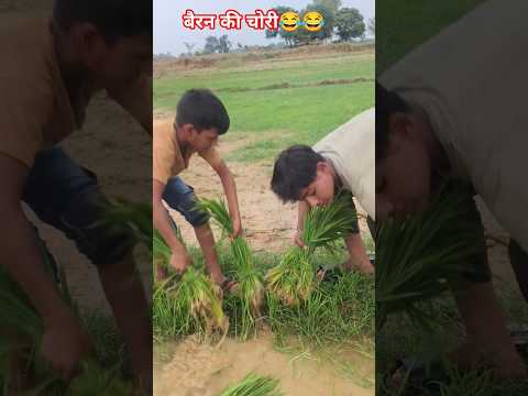बैरन की चोरी #comedy #funny