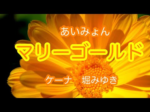 【ケーナ】マリーゴールド　あいみょん　Covered Miyuki Hori Quena