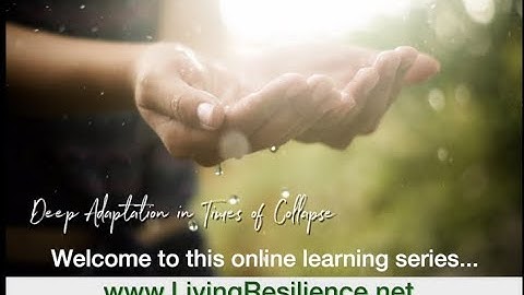 Introduction to Deep Adaptation in Times of Collapse and more new offerings