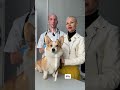 ДРУГ ВЕТЕРИНАРНЫЙ ЦЕНТР | Минск