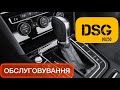 DSG сервісне обслуговування у офіційного диллера