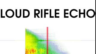 Loud Rifle Echo Sound Effect
