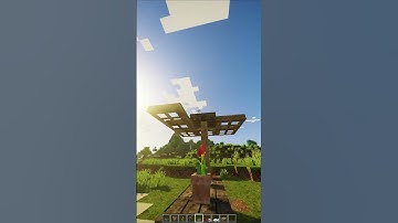 Minecraft: The Picnic Table Update