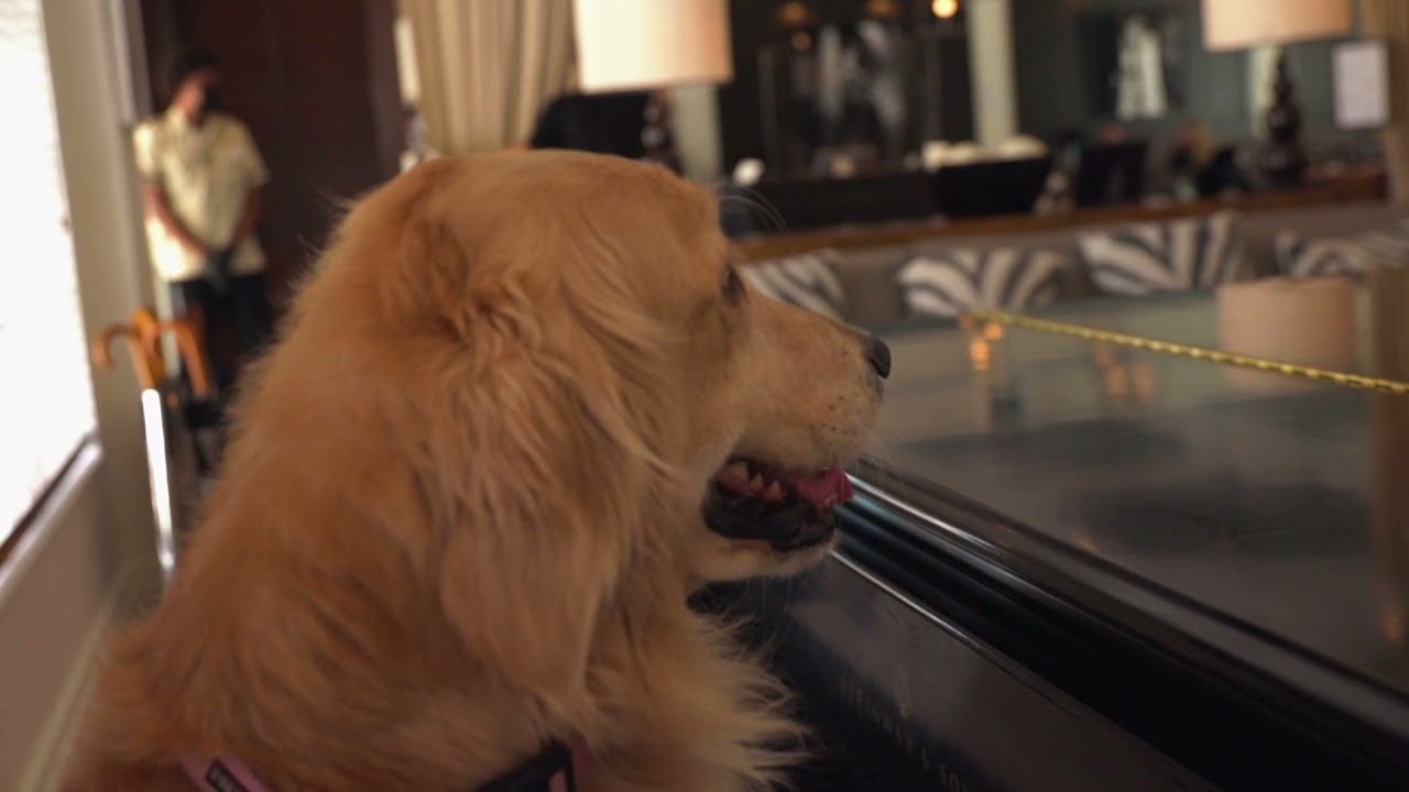 A Day in the Life of Betsy & Rosa | The Betsy Hotel – South Beach