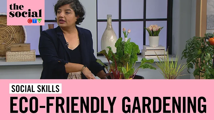 Feed your garden from your kitchen waste | The Soc...