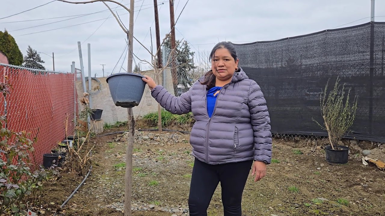 Hoy estaremos enseñándoles como se encuentra  afuera y limpiando 