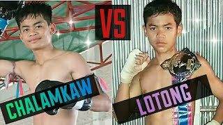 Chalamkaw VS Champ!ムエタイฉลามขาวอัดแชมป์ขาดลอย(ซ้อม3วันเกือบเป็นลม)Muaythai fight!チャンピオンと対戦！