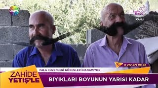Pala Kuzenler