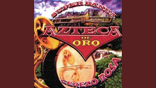 Miniatura de "Super Banda Azteca De Oro - Lagrimas De Escarcha"