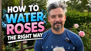 How to Water Roses the Right Way | Avoid Common Watering Mistakes
