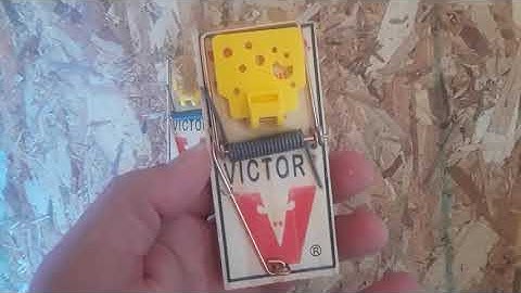 Victor Easy Set Mouse Trap