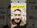 الزعتر للحامل مضر ام مفيد الروشتة ترند