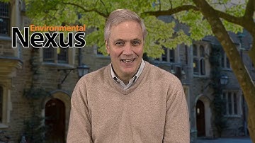 An Introduction to the Environmental Nexus and ENV 200