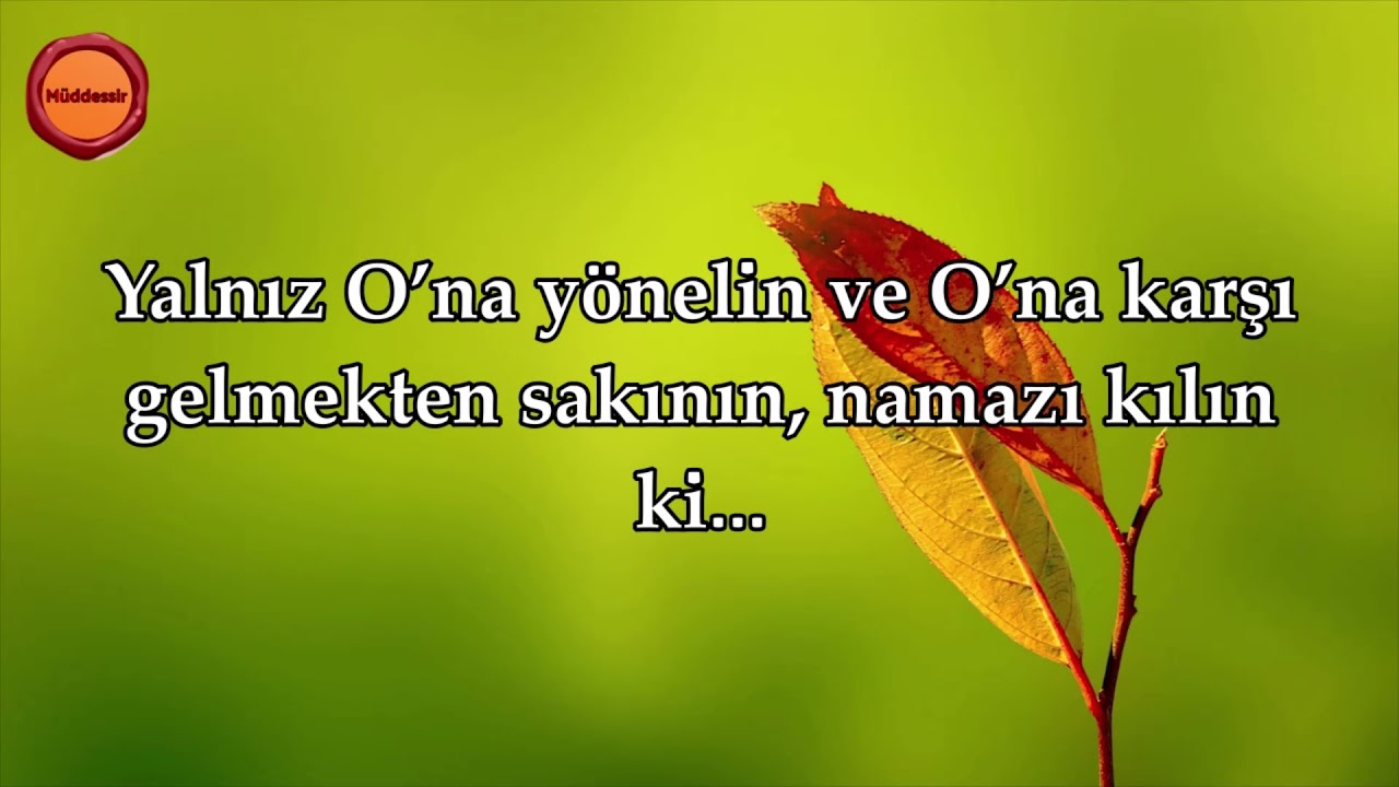 Rum Suresi - Nasser al Qatami