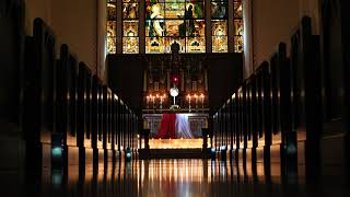 Reece Hyland & Chelsea Seiboldt Wedding