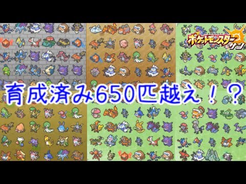 ポケモンsm 育成完了済みポケモン650匹 いました 11ポケモン サン ムーン シーズン4 Pokemon Sun Moon Youtube