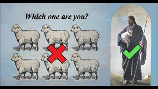 Group vs The Individual