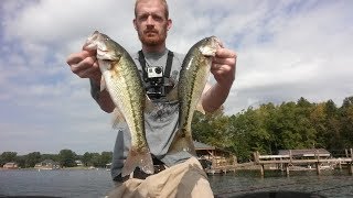 Lake Norman Stumpy Creek bassin Oct 12th