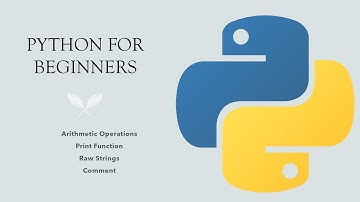 #2 Python for Beginners: Arithmetic Operations, Raw Strings, Print Function and Comments