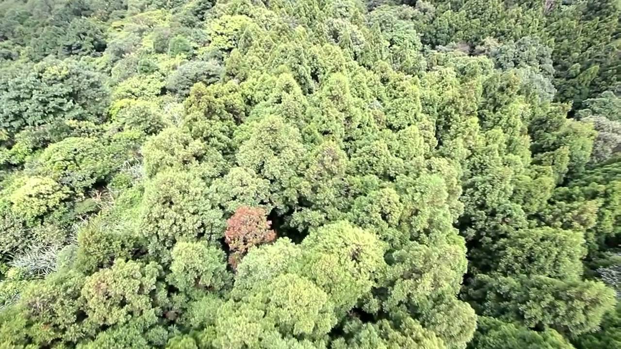 video phone beyonce mp3 Flycam rc heli cam 空中攝影 空拍