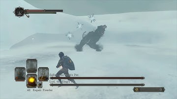 DS2: SL1 CoC Lud & Zallen no Roll/Block/Parry