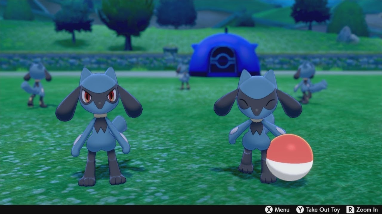 Pokémon Sword 131 Riolu Break Time! YouTube
