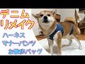 破れたデニムを使って柴犬用のマナーパンツ&ハーネス&お散歩バッグを作ってみました。（作り方）