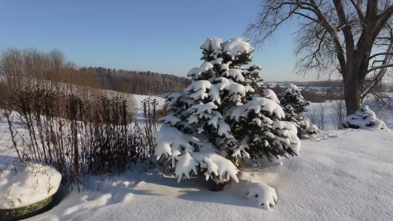 Солнечный день на Svente