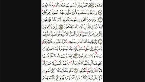 الختمة المرتلة للقرآن الكريم بصوت محمد صديق المنشاوي -الجزء الرابع عشر