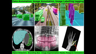 Image Annotation Specialist with good experience in data labeling, image labelling