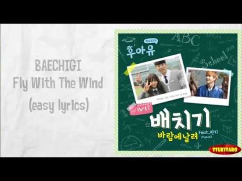 Baechigi - Fly With The Wind Lyrics (easy lyrics)