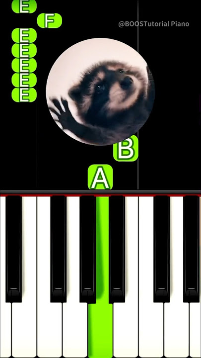 Pedro Pedro Pedro (Piano Tutorial) #TikTok