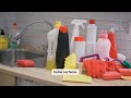 Branch Basics — Simplifying Home Cleaning Through Versatile Concentrates