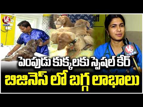Pet Grooming Centres With Special Care For Dogs Creates Profitable Business | V6 News - V6NEWSTELUGU