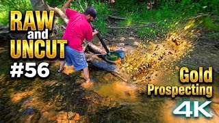Raw and Uncut Gold Prospecting in 4K - Hour 56