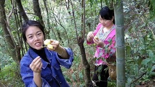 秋子带三嫂进山摘野果，吃得两人牙根发软，这东西你肯定没吃过