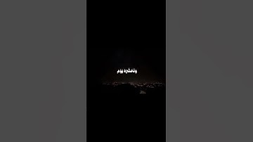 💚🍃وَمَنْ أَعْرَضَ عَن ذِكْرِي فَإِنَّ لَهُ مَعِيشَةً ضَنكًا #قران_كريم #قران #سوره_طه #محمد_ايوب