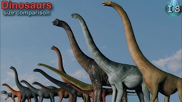 Dinosaurs Length Size Comparison | 3D Animation | Jurassic Park & World | Blender