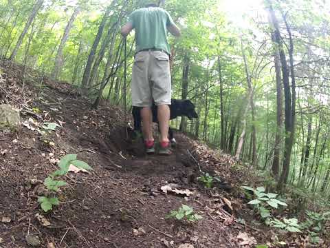 Building MTB Trail on Steep Hillside Using Mattock Pick and Steel Rake (Episode 1)