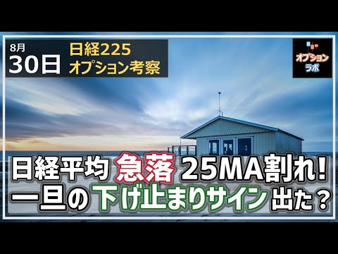 【日経225オプション考察】8/30 日経平均急落であっという間に25MA陥落！ 急落の後の一旦の反発サインは出た？それとも暴落開始？