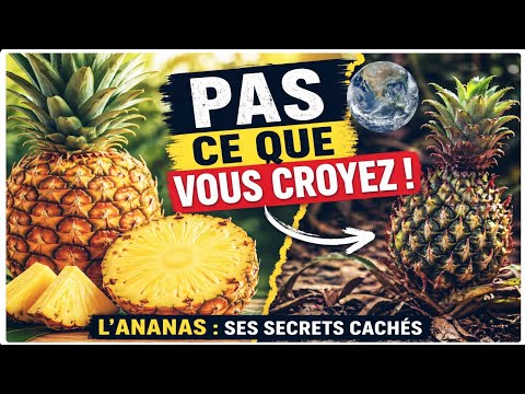 You’re eating pineapple without knowing this…”🍍@patijoelle9810