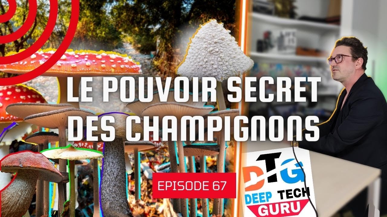 Le pouvoir secret des Champignons - Le biomimétisme contre la pollution ...