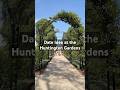 Date Idea at the Huntington Gardens #dateideas #thingstodoinla #huntingtongardens