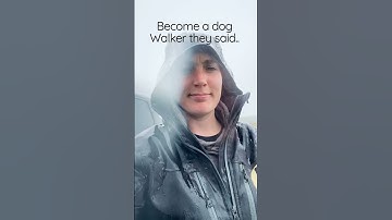 Become a dog Walker they said.. it’ll be fun they said 🌧🙈😂