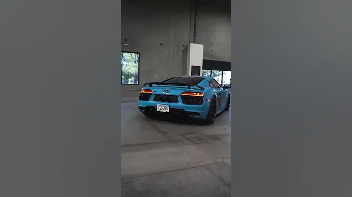 Twinturbo Audi R8 V10 "The Flamethrower"🔥