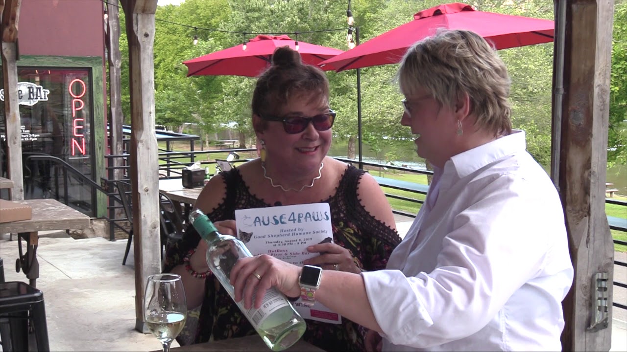 Cause 4 Paws