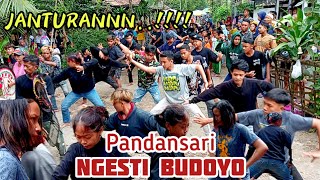 JANTURANN ‼️ Ebeg Pandansari Ngesti Budoyo || live Karangrejo, Petanahan