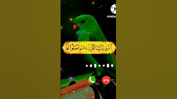 ستوريات انستا يوم الجمعه //القارئ: أسلام صبحي //حالات واتس اب يوم الجمعه