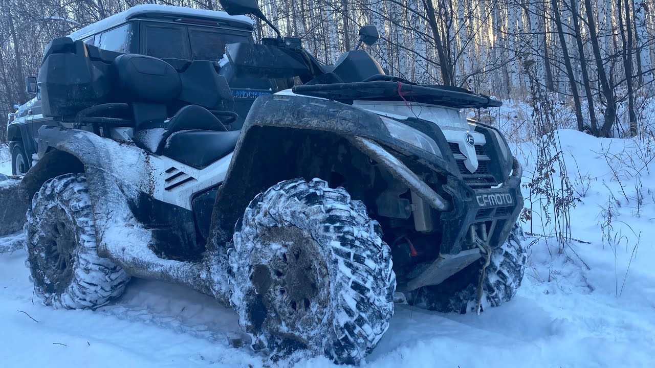 Поездка в лесную избу в ноябре месяце. Проверяем и заряжаем капканы на ...