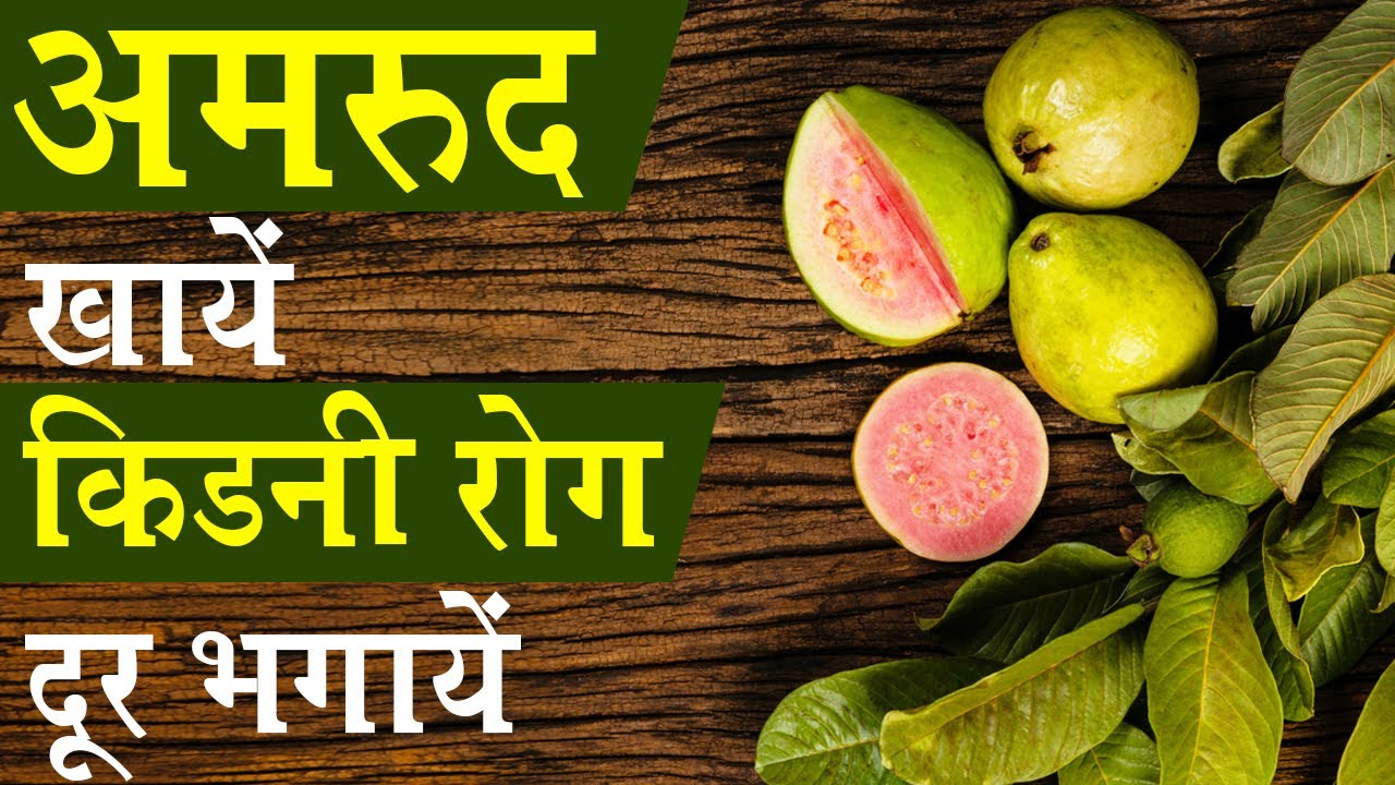 अमरुद खाओ किडनी रोग दूर भगाओ How is Guava for Kidneys? Kidney